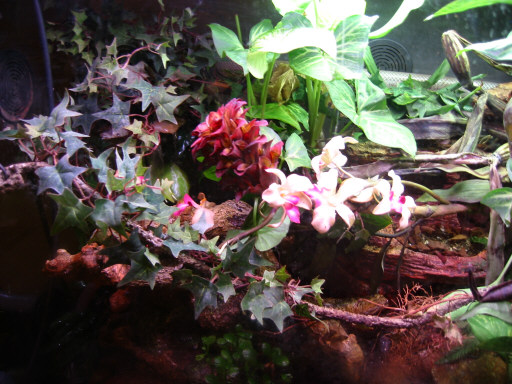 part of my tank