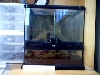 Tank1