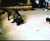 playin with the toy