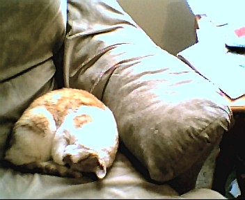 angel sleeping away