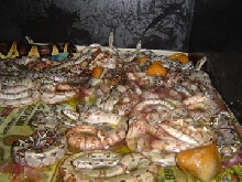Robin's 2005 litter