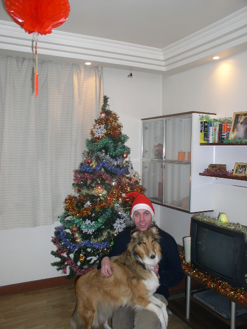 Echo at Xmas