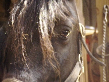 Pretty shot of Black Hawk