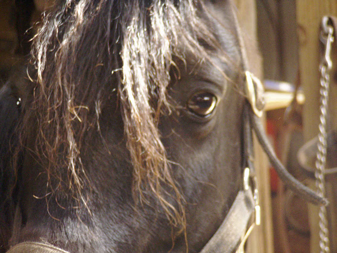 Pretty shot of Black Hawk