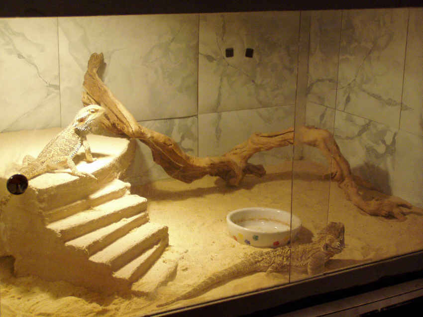Our home made Platform again