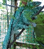 My Blue Boy