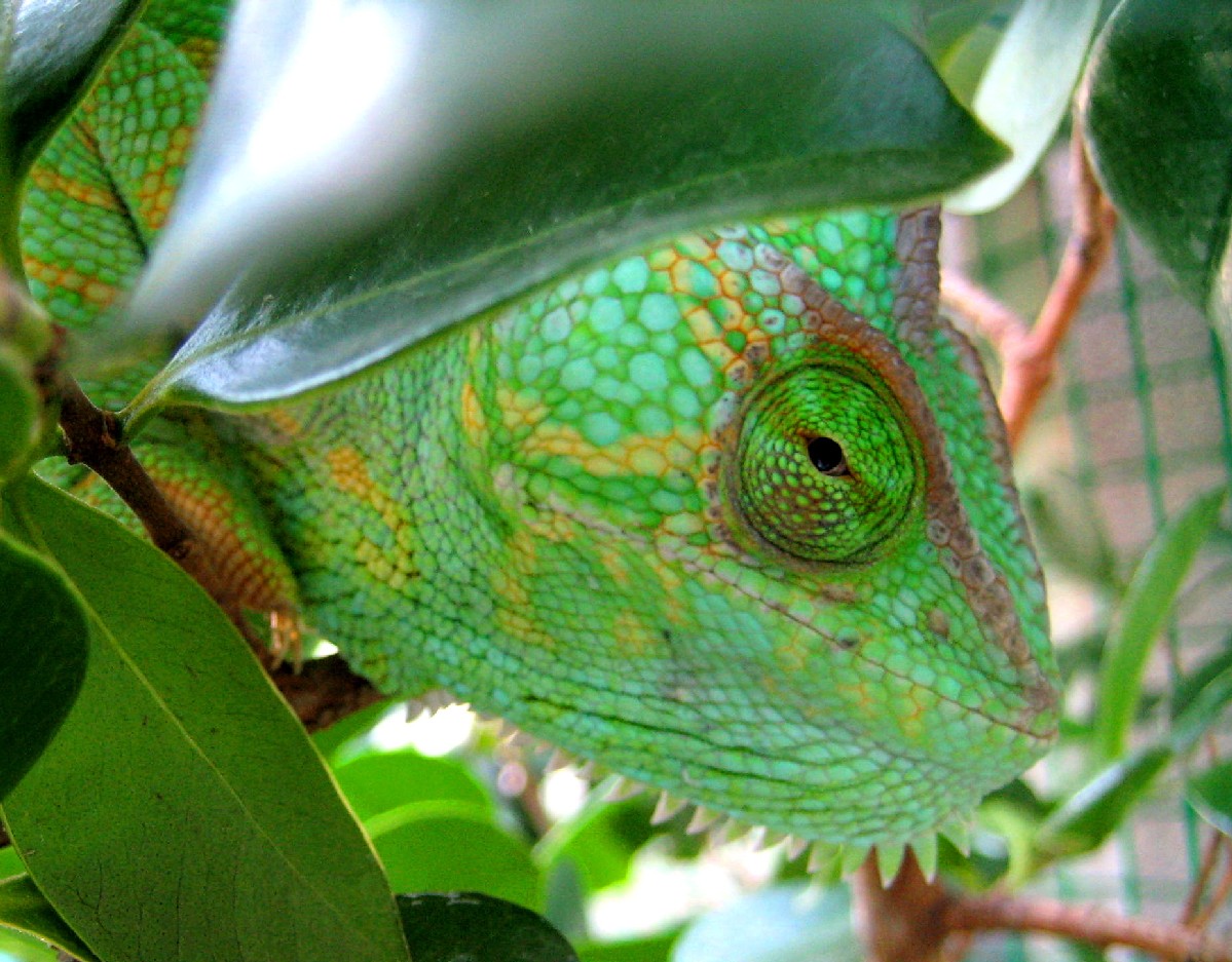 I've got my eye on you!