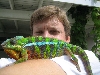 My very friendly Ambilobe