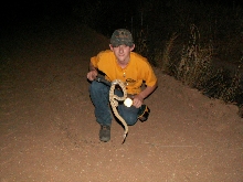 holding a Mojave