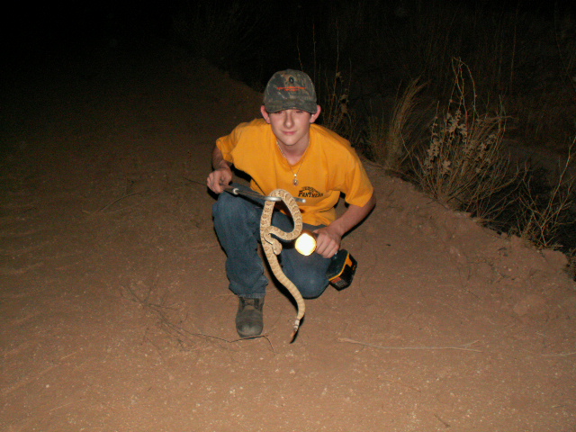 holding a Mojave