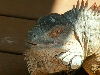 Pic 7