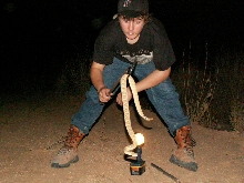 Me and Mojave