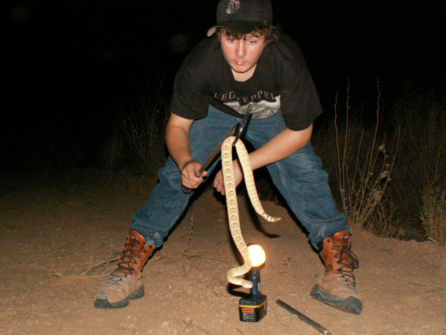 Me and Mojave