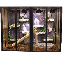 72"H x 96"L x 48"D Hybrid Reptile CagesByDesign Cage