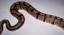 Granite pic4
