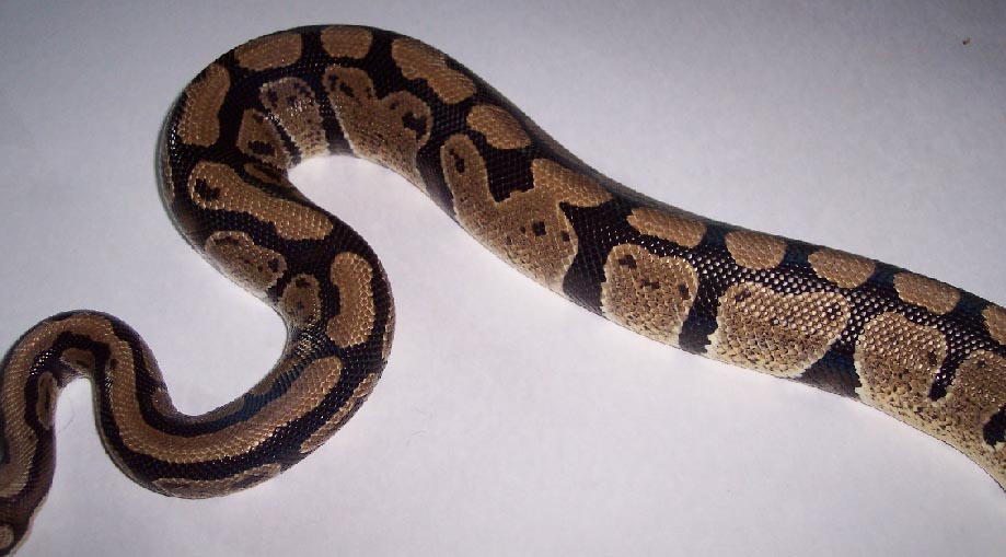 Granite pic4