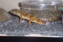 Side View