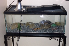 My setup