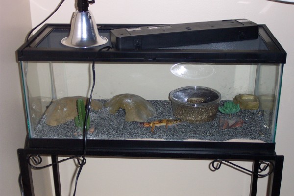 My setup