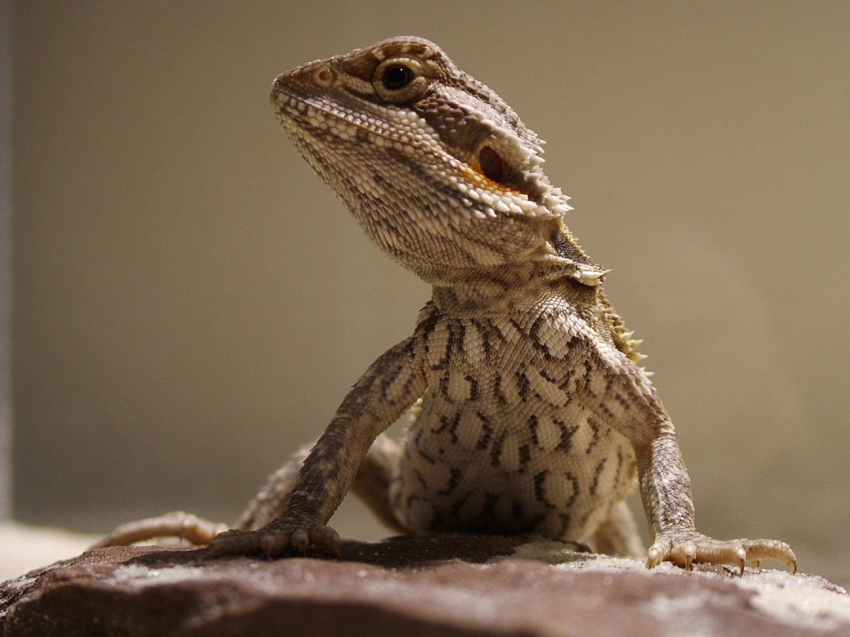Are you looking at me?