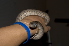 Holding my blue eyes