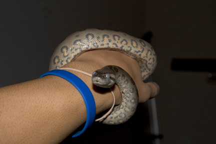 Holding my blue eyes