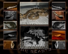 The Beasts