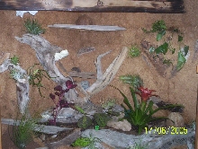 first vivarium