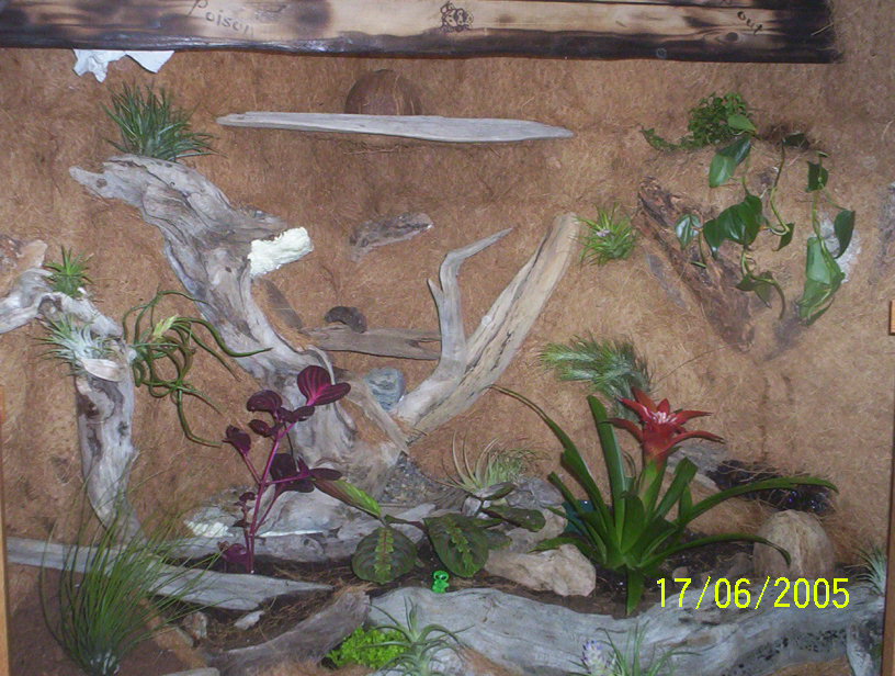 first vivarium