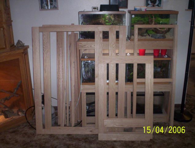 cage const. 2