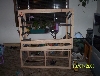const. 4