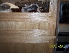 const. 8