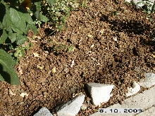 Mulch