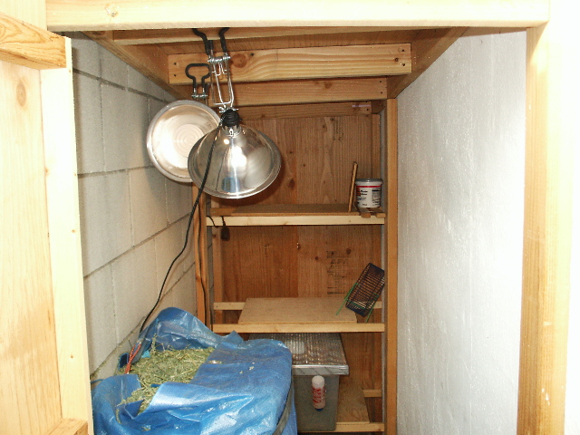 Shed