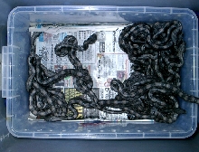 Argie Litter