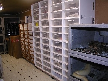 Brian's Snake Den