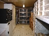 Brian's Snake Den