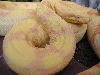 2004 female lavender sunglow boa