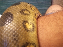 Wrapping Around My Arm