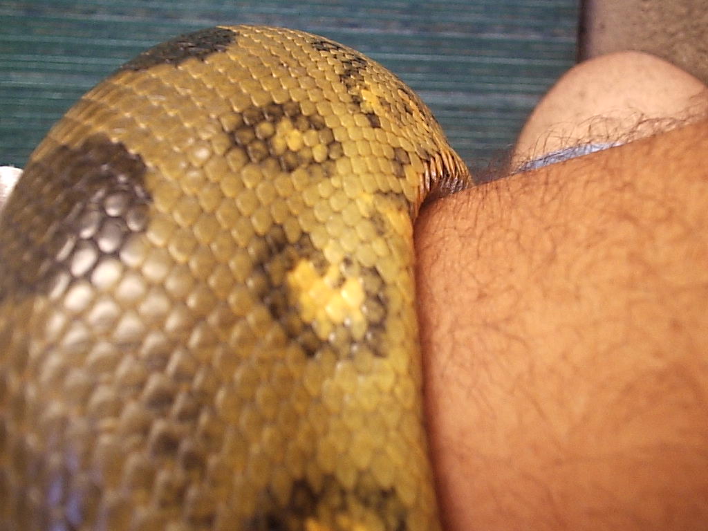 Wrapping Around My Arm