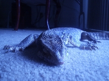 Sleepy