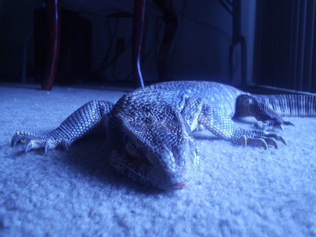 Sleepy