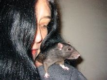 Amy