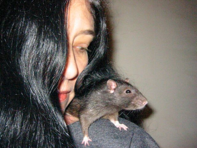 Amy