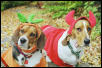 Trick or Treat