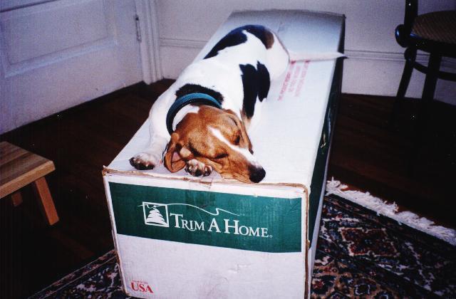 The holidays are exhausting!