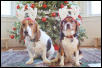 Santa's Helpers