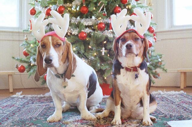 Santa's Helpers