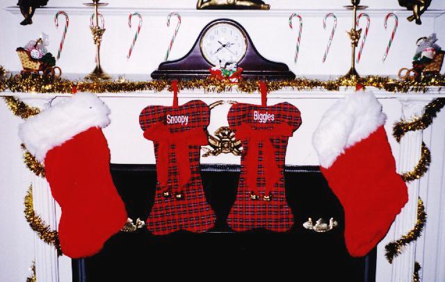 Hung by the chimney with care