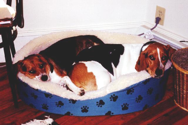 Nap time